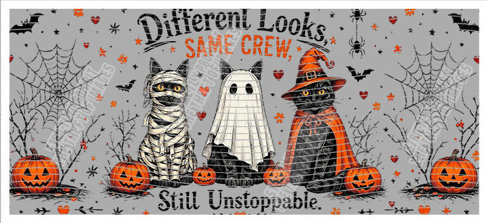16oz Halloween-J12-4367